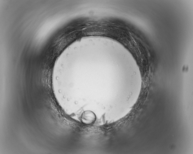 X0000113630146200909181313