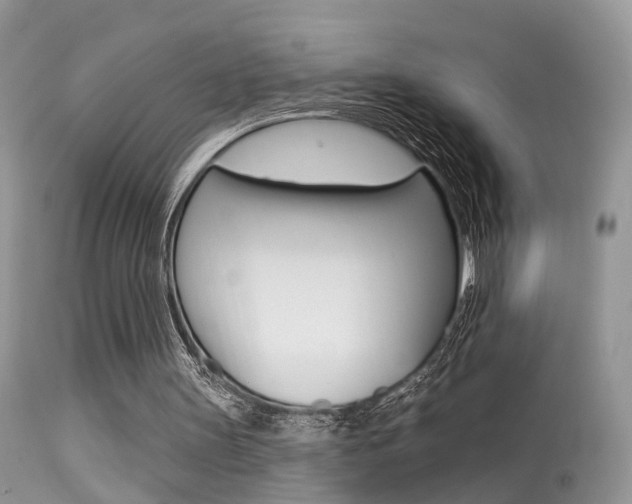 X0000113630147200909181313