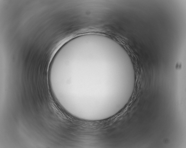 X0000113630148200909181313