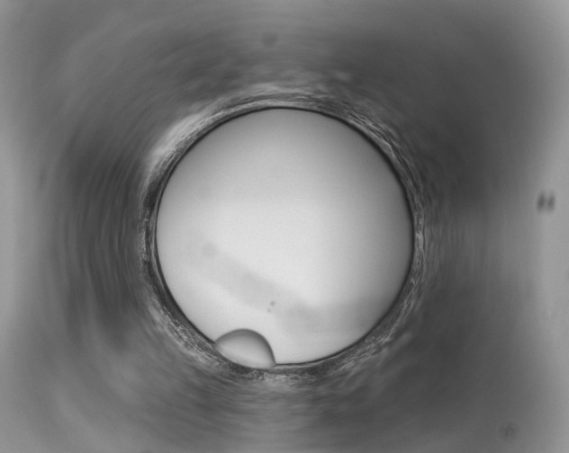 X0000113630149200909181313