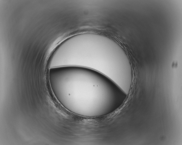 X0000113630150200909181313