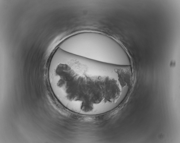 X0000113630151200909181313