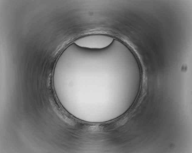 X0000113630153200909181313