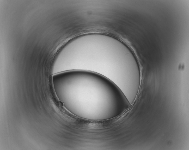 X0000113630154200909181313