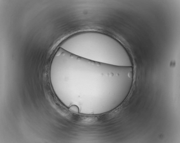 X0000113630155200909181313