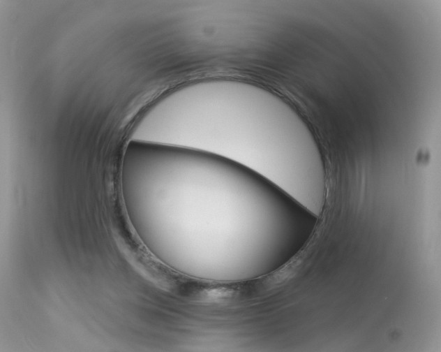 X0000113630158200909181313
