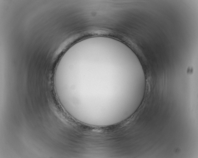 X0000113630159200909181313