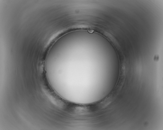 X0000113630160200909181313
