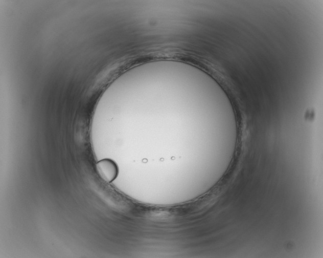 X0000113630161200909181313