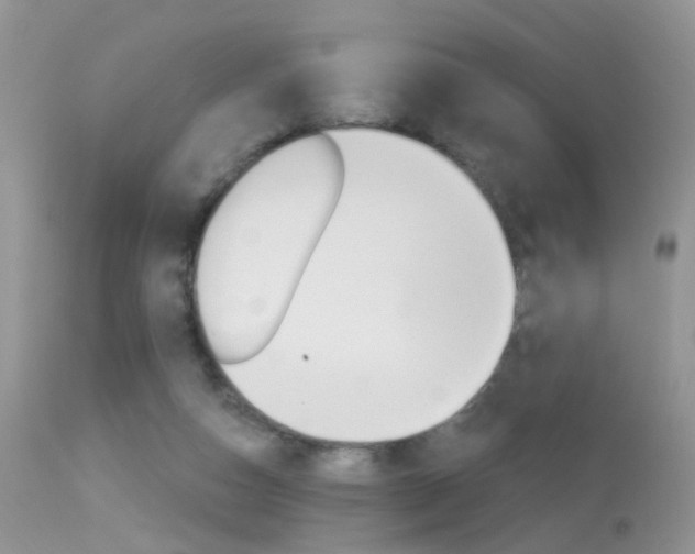 X0000113630162200909181313