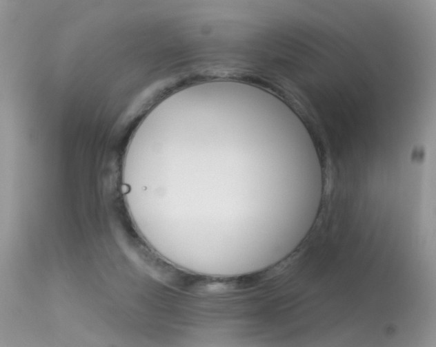 X0000113630163200909181313