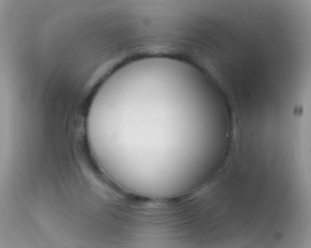 X0000113630164200909181313