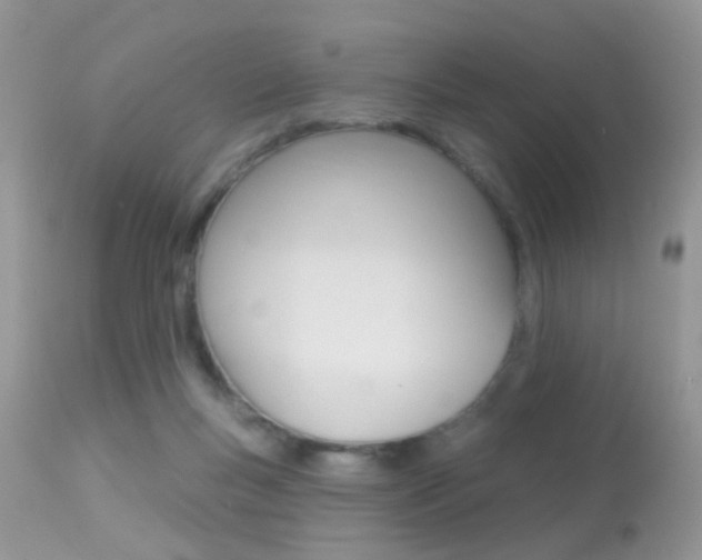 X0000113630167200909181313
