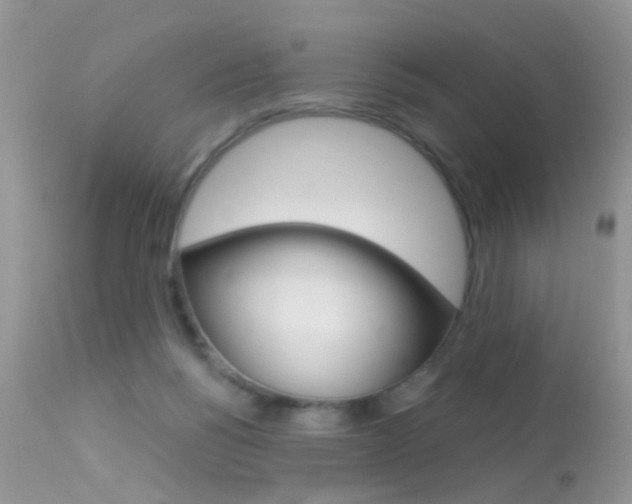 X0000113630168200909181313