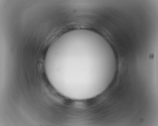 X0000113630169200909181313