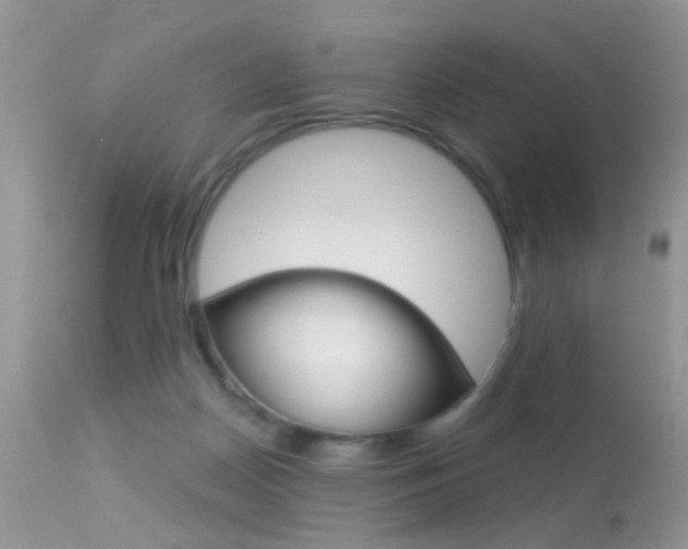 X0000113630170200909181313