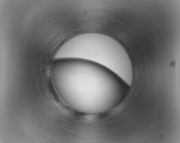 X0000113630172200909181313