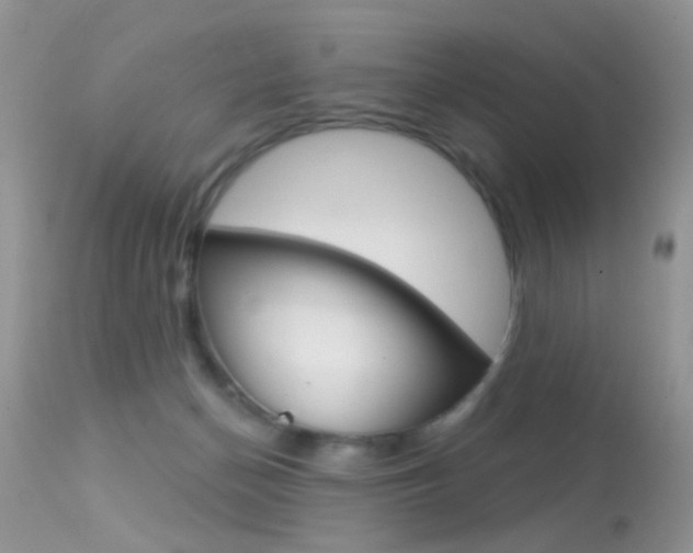 X0000113630174200909181313