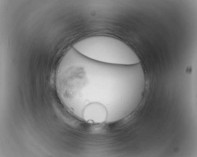 X0000113630175200909181313