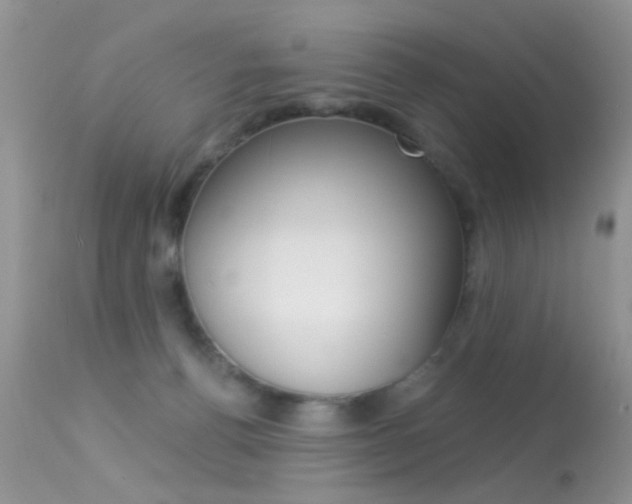 X0000113630176200909181313