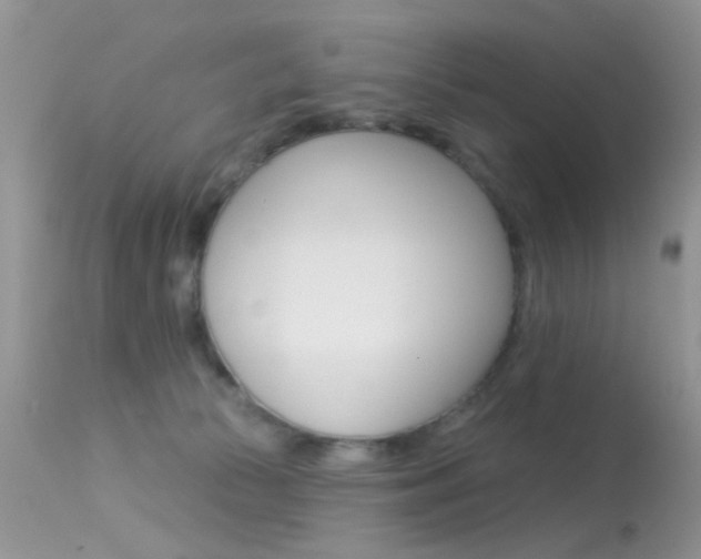X0000113630177200909181313
