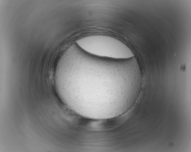 X0000113630178200909181314