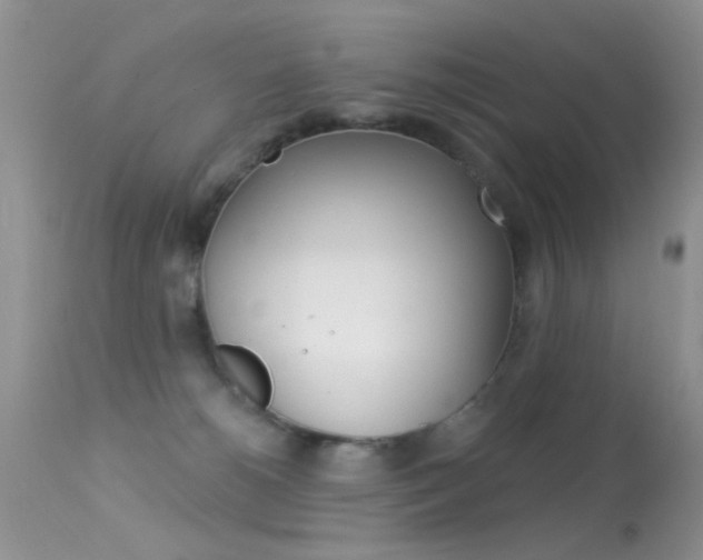 X0000113630180200909181314