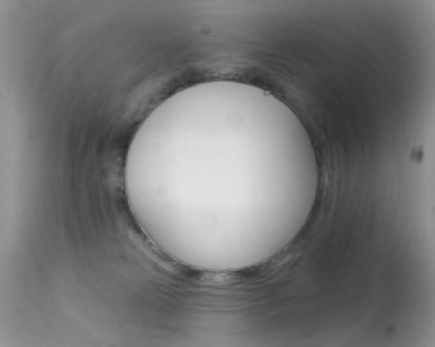 X0000113630181200909181314
