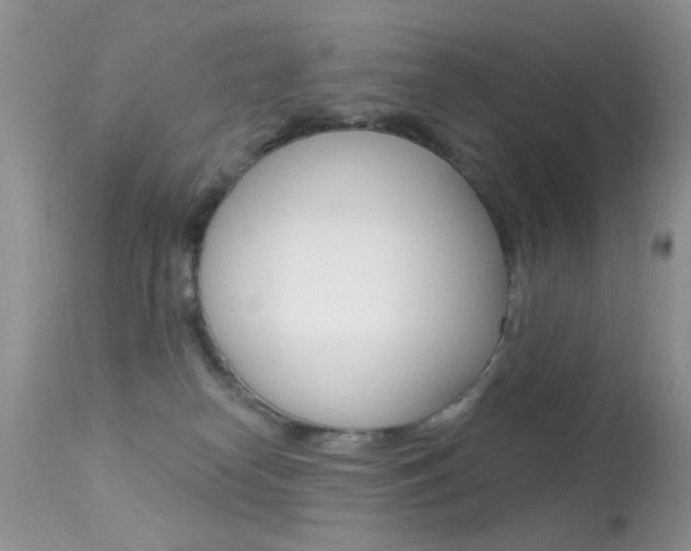 X0000113630182200909181314
