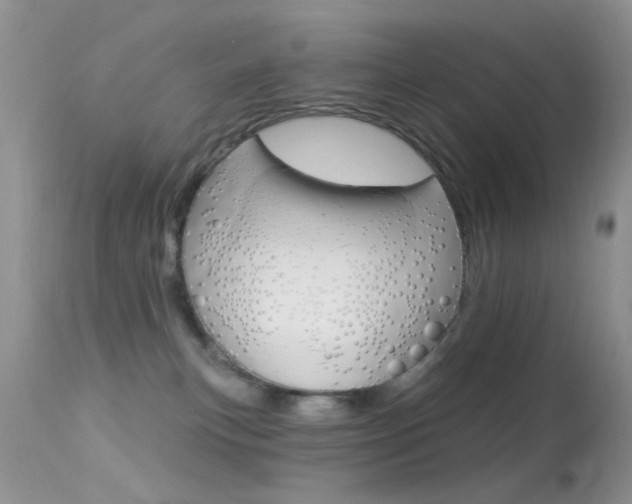 X0000113630183200909181314