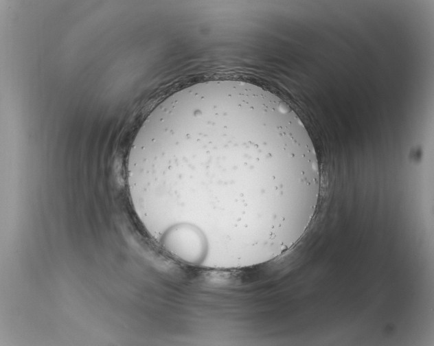 X0000113630187200909181314