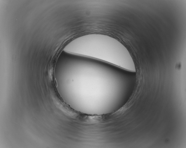X0000113630188200909181314