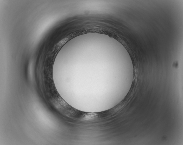 X0000113630189200909181314