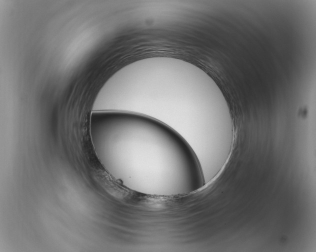 X0000113630190200909181314