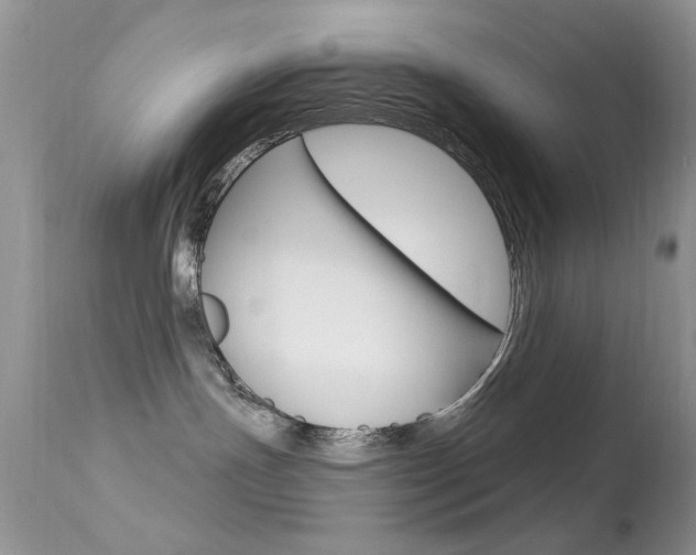 X0000113630191200909181314