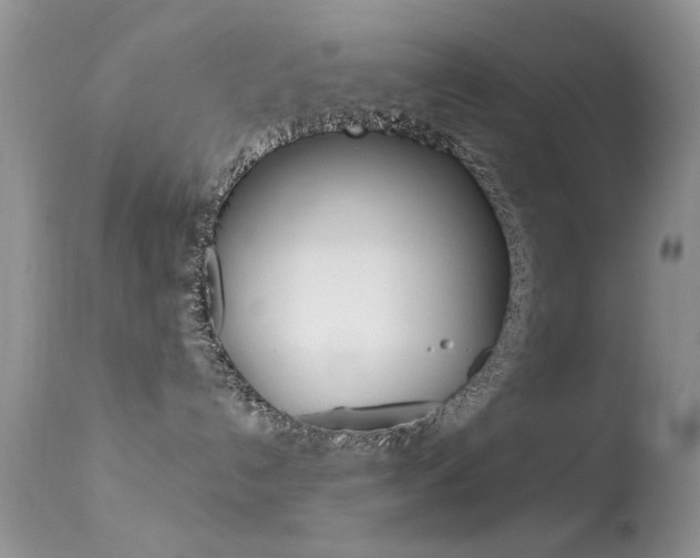 X0000113630192200909181314