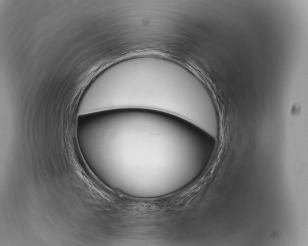 X0000113630193200909181313