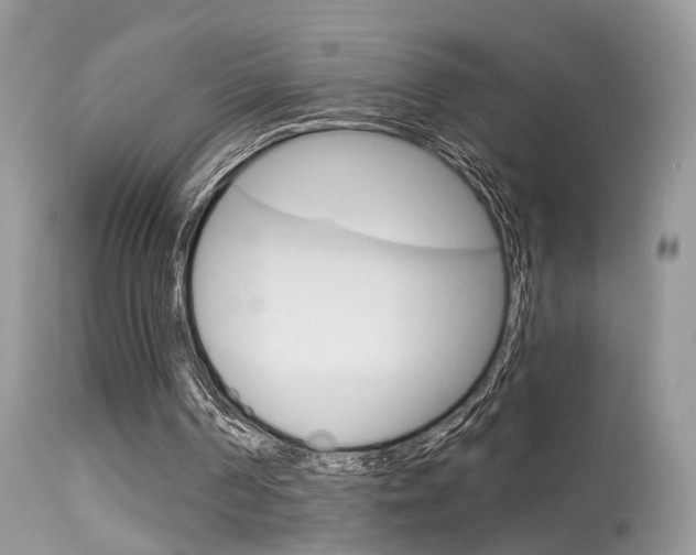 X0000113630194200909181313