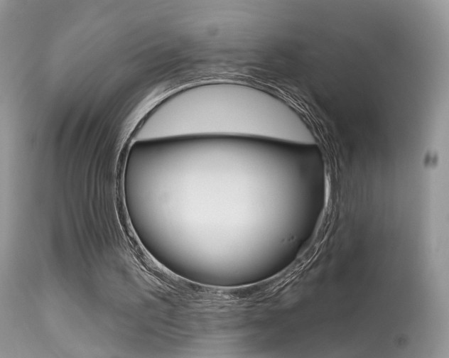 X0000113630195200909181313