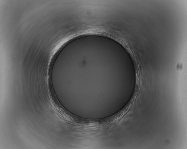 X0000113630196200909181313