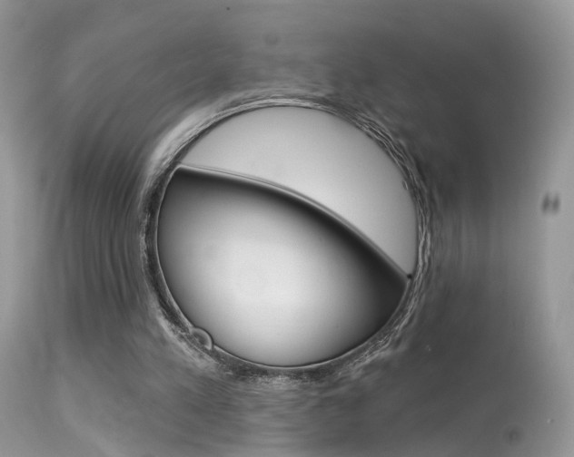 X0000113630197200909181313