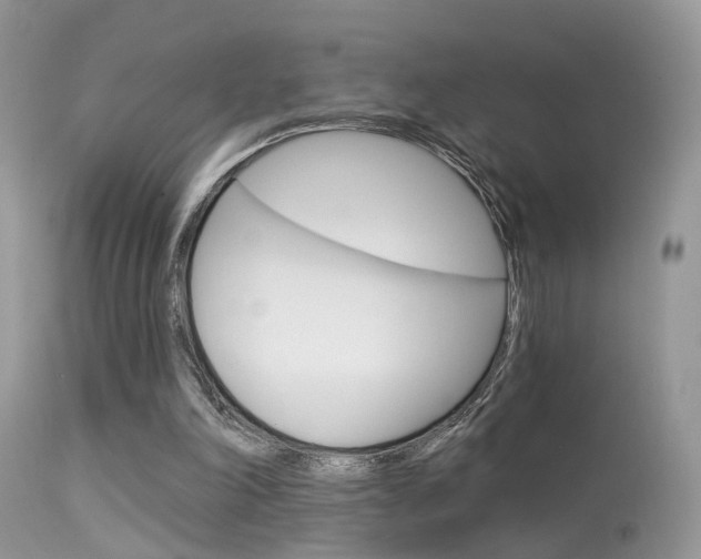 X0000113630198200909181313