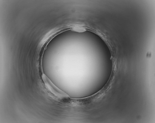 X0000113630199200909181313