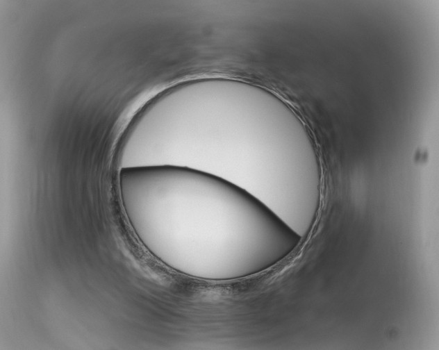 X0000113630200200909181313