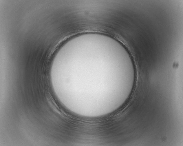 X0000113630203200909181313