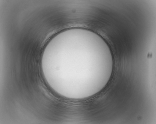 X0000113630207200909181313