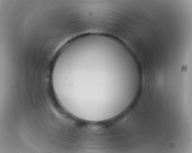 X0000113630208200909181313