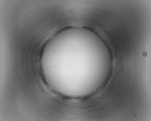 X0000113630209200909181313
