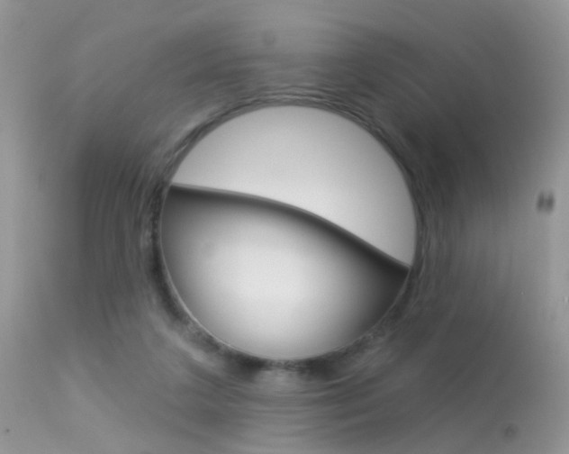 X0000113630211200909181313