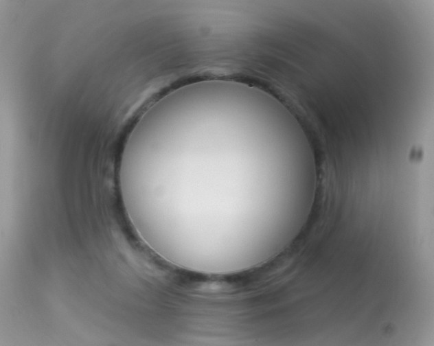 X0000113630212200909181313
